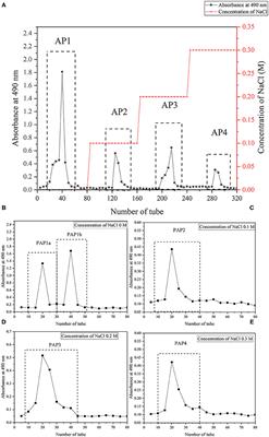 Structural Elucidation and Antioxidant Activities of a Neutral Polysaccharide From Arecanut (Areca catechu L.)